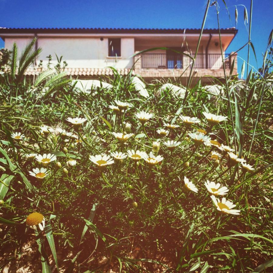 Casale Del Sole Bed & Breakfast Cepagatti Exterior photo