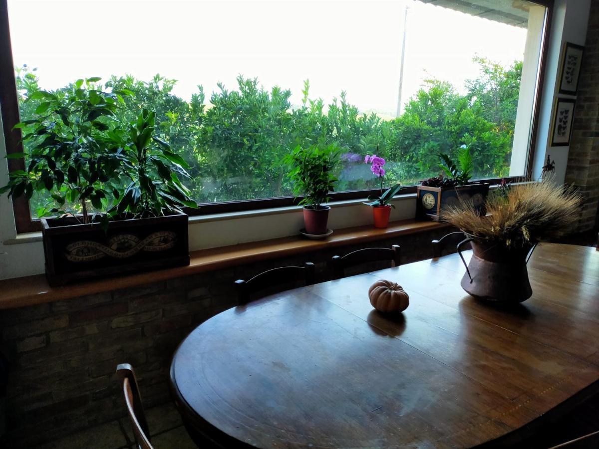Casale Del Sole Bed & Breakfast Cepagatti Exterior photo