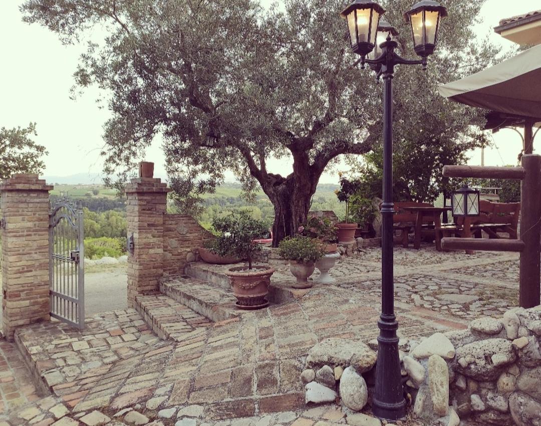 Casale Del Sole Bed & Breakfast Cepagatti Exterior photo