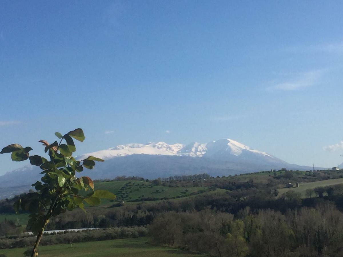 Casale Del Sole Bed & Breakfast Cepagatti Exterior photo